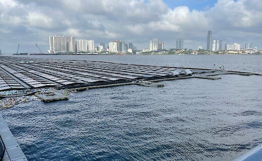 Floating Solar & Solar