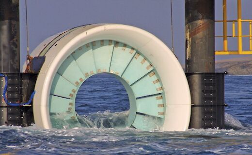 Expert and Senior Environmental Consultants: Offshore Renewables